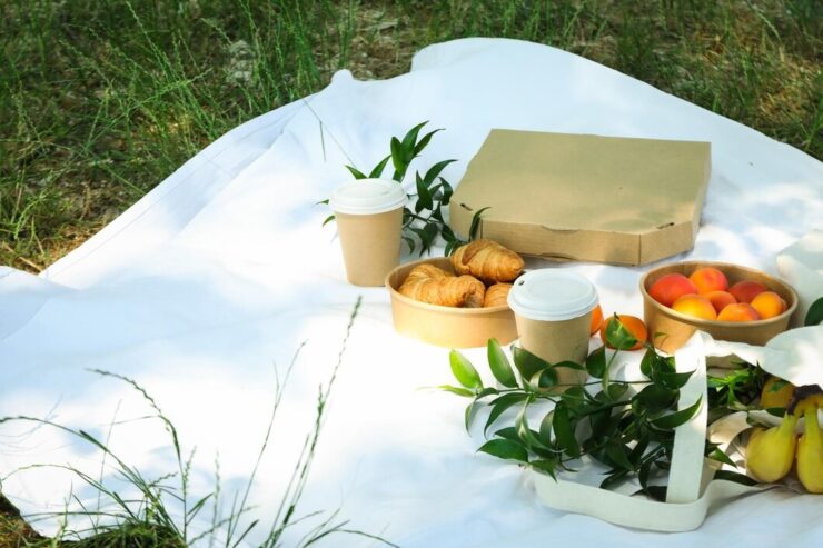 picnic food in shadow