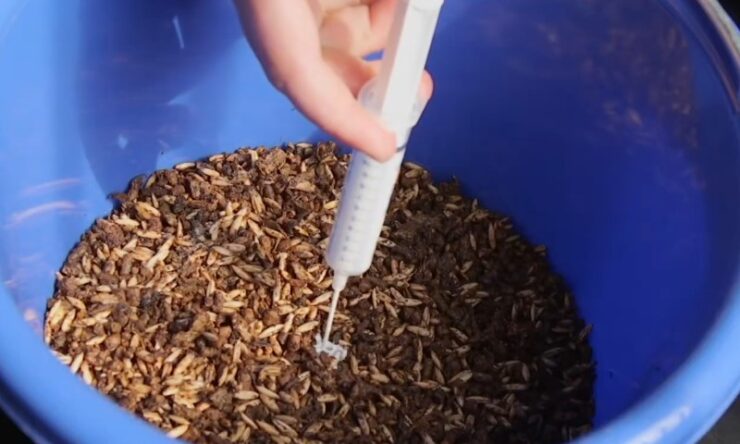 A person pouring vitamins into a bucket filled with brown seeds