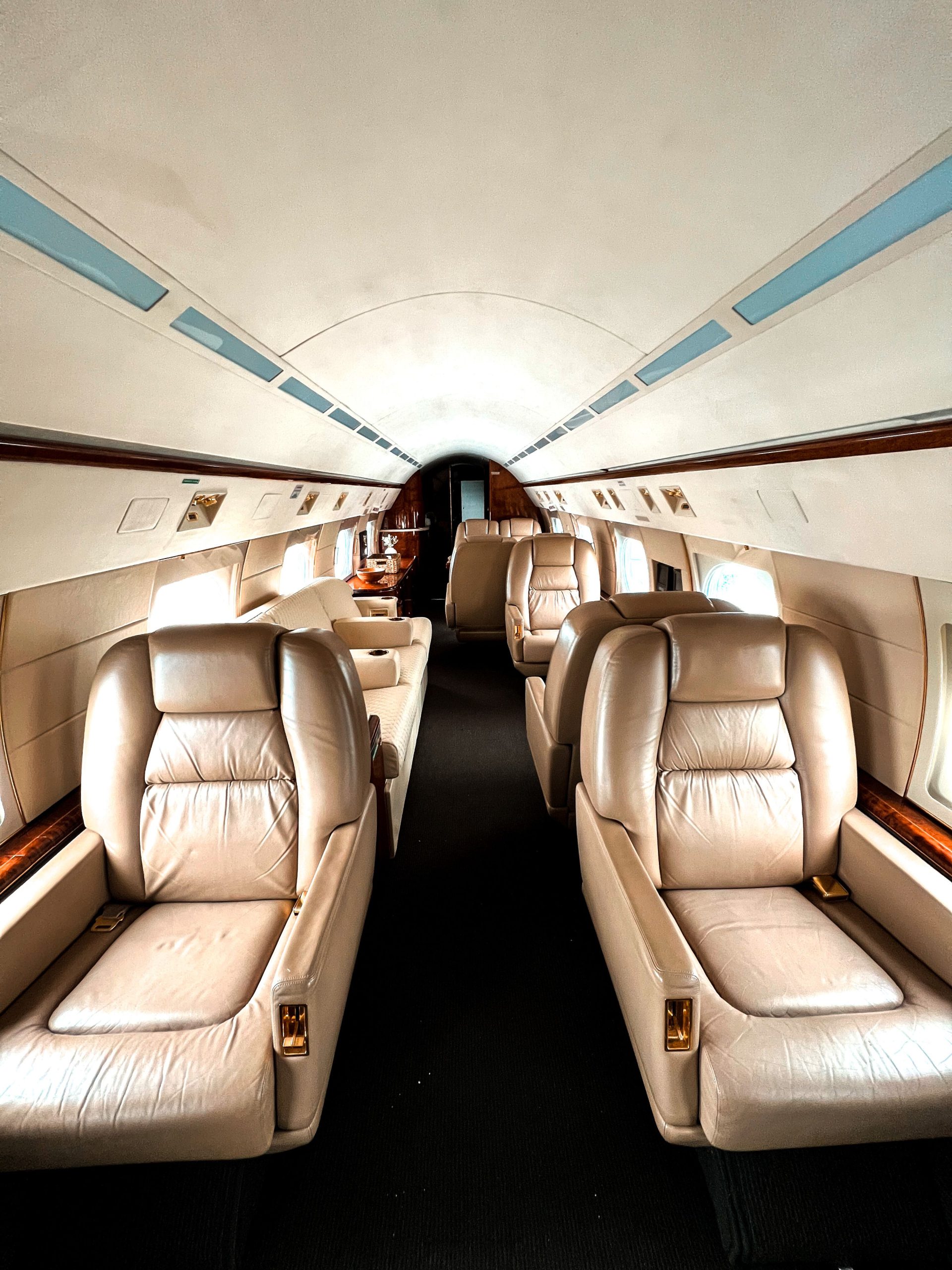 Elegant private jet interior with luxurious leather seating, symbolizing privacy as an exclusive luxury